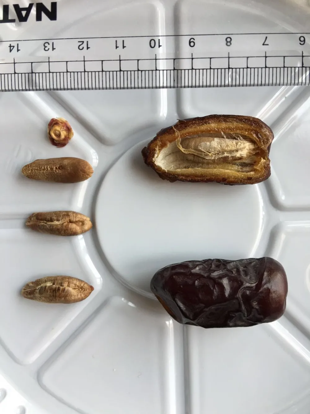 Kurma Safawi Premium