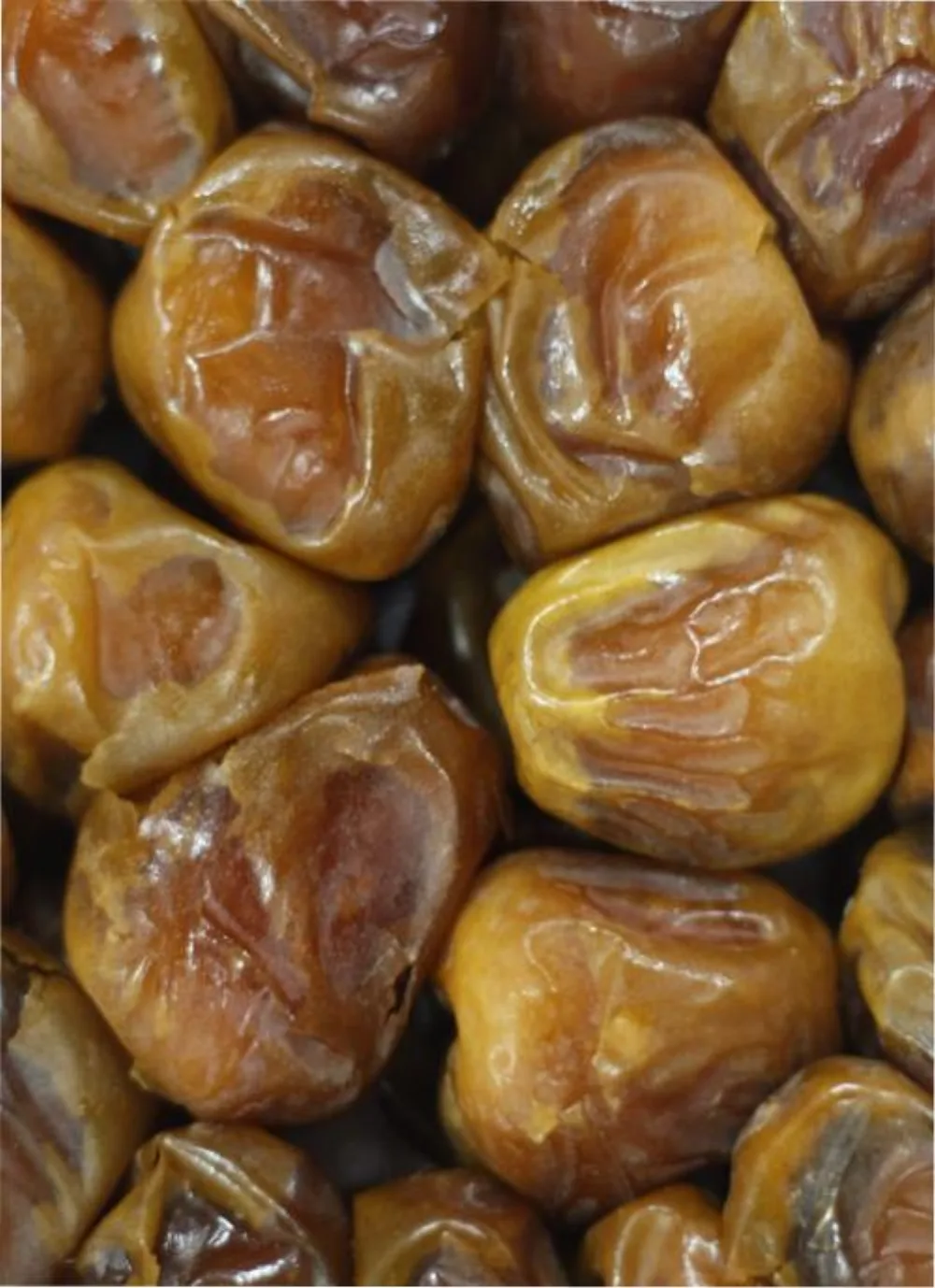 Kurma Sukari Al-Qassim